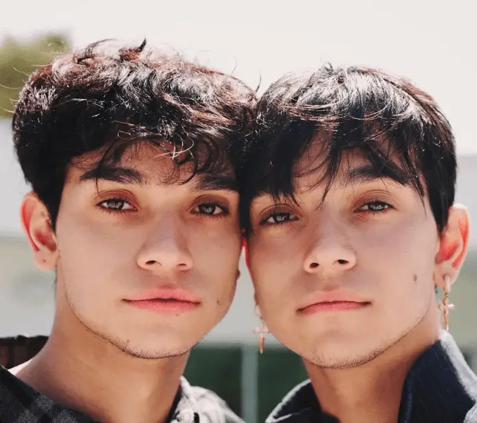 Lucas and Marcus Net Worth