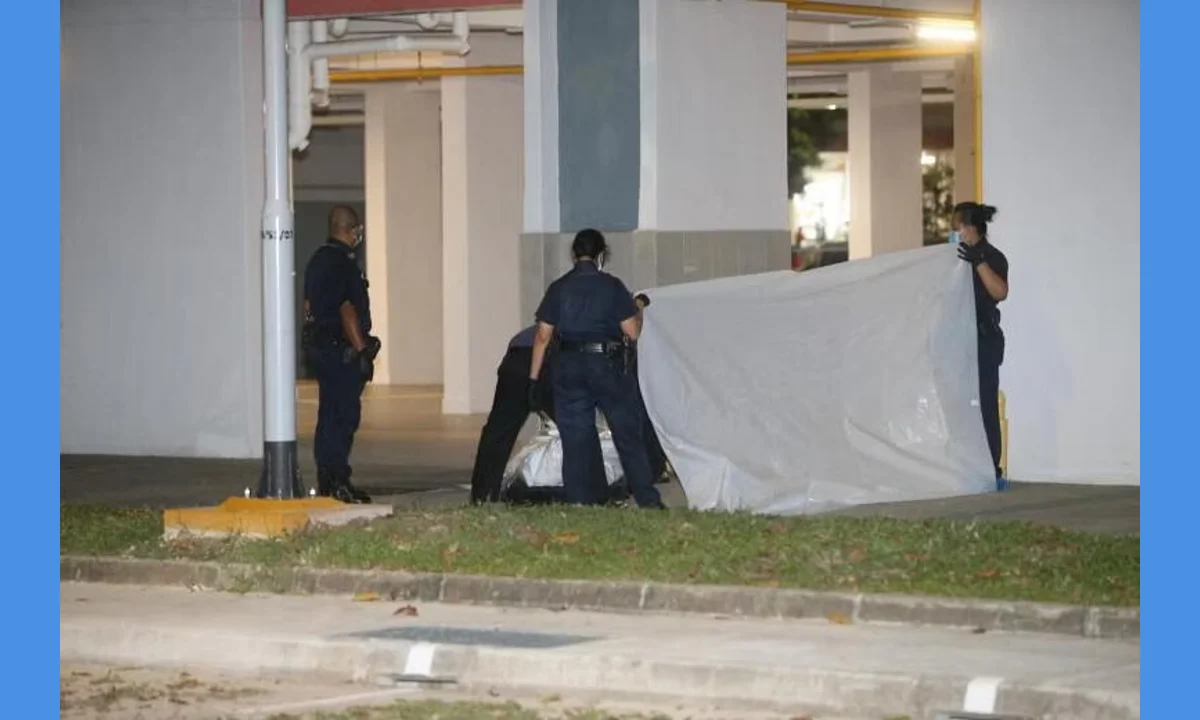 Eunos Disturbing Incident Mother and Infant Baby Found Dead